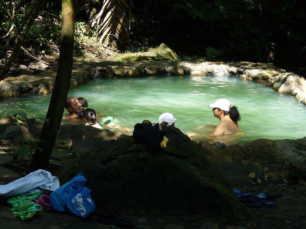 Отель Termales Del Bosque & Hot Springs Ла-Марина Экстерьер фото